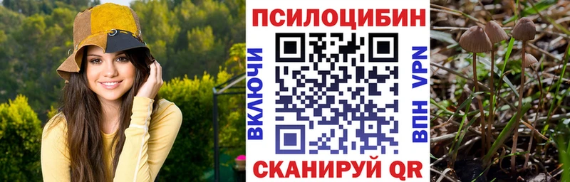 Псилоцибиновые грибы прущие грибы Северо-Курильск
